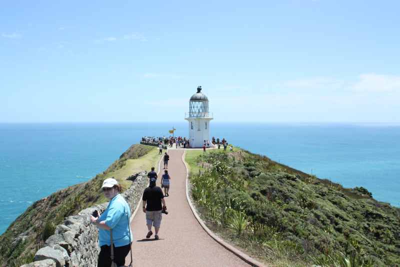 Nieuw-Zeeland 2011 - 0342